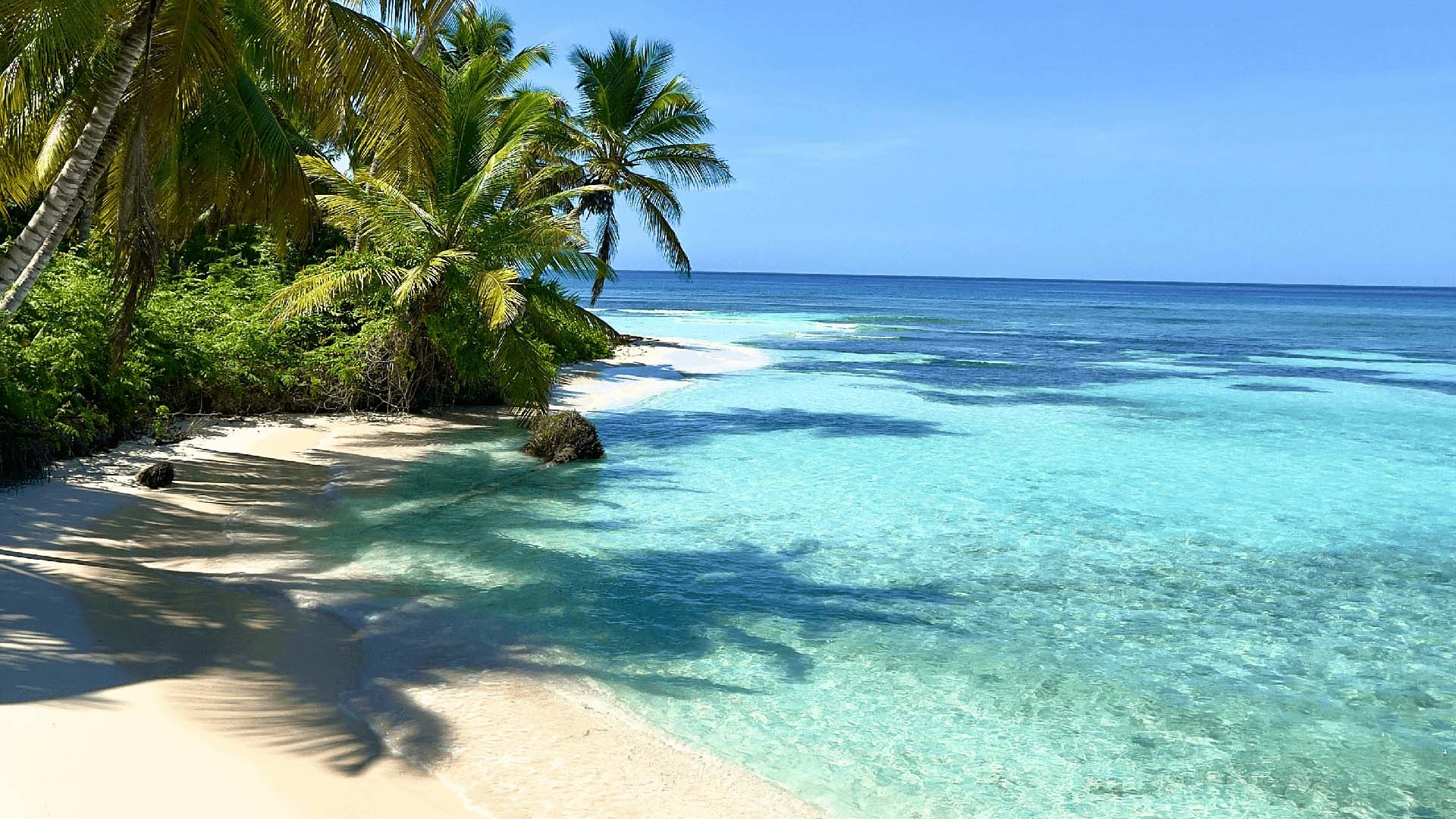 plage de la république dominicaine